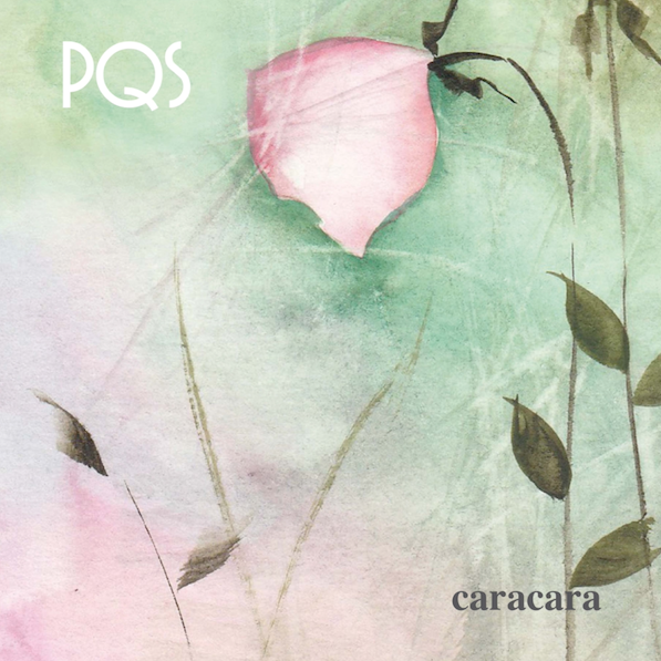 PQS