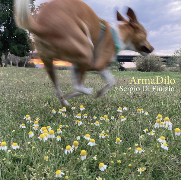 ArmaDilo